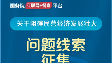 操干逼国务院“互联网+督查”平台公开征集阻碍民营经济发展壮大问题线索